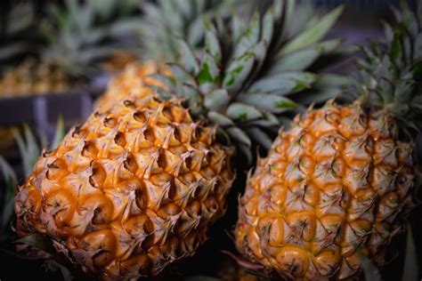 Le Système Victoria 2025