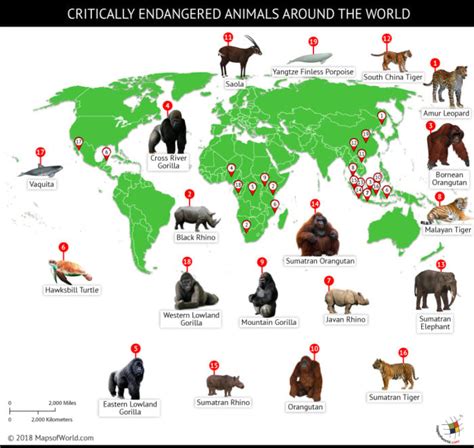 A World Of Endangered Animals 2025 𝚆𝚊𝚝𝚌𝚑 On Demand Services