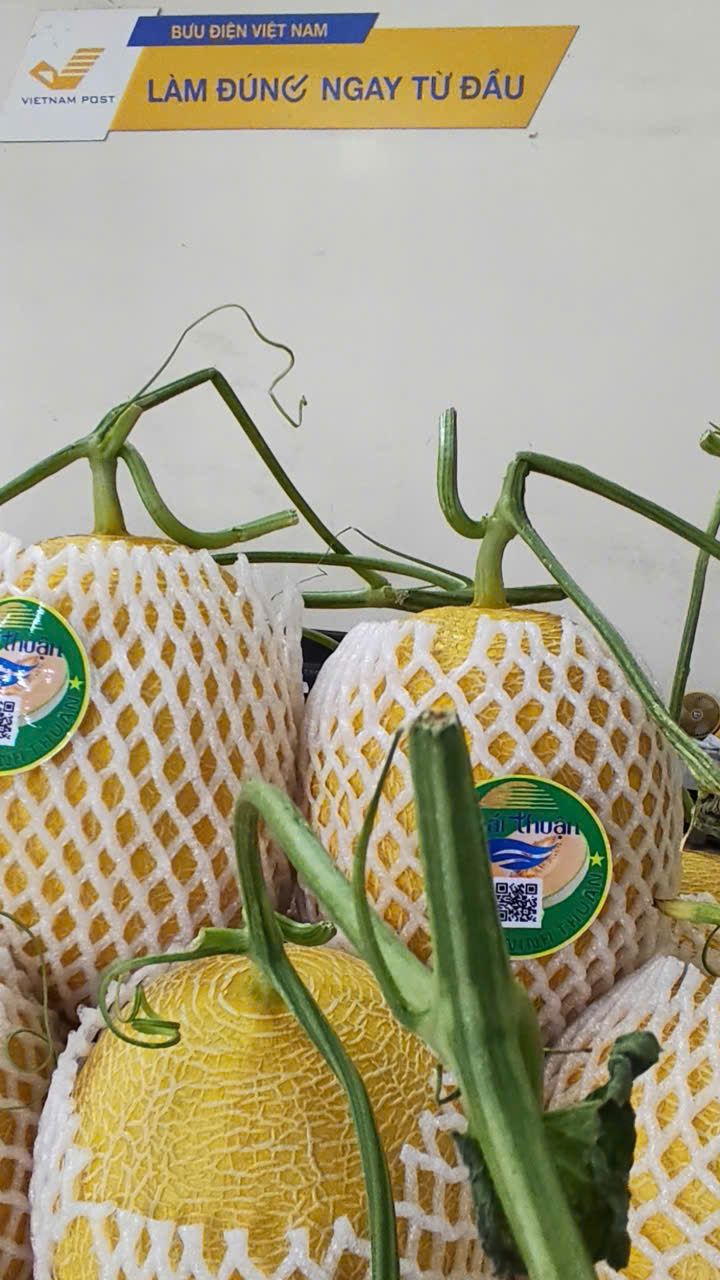 z7519712484255 a247189362889b96ca7836e66112748e