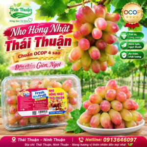Nho Hồng Nhật tươi ngon - OCOP ⭐️⭐️⭐️⭐️