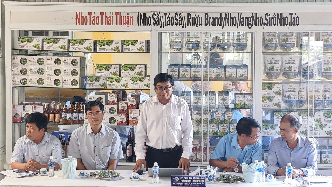 Phường Đô Vinh (Khánh Hoà) từng bước hình thành vùng trồng dừa xiêm liên kết, phục vụ xuất khẩu 3 98 1769236426