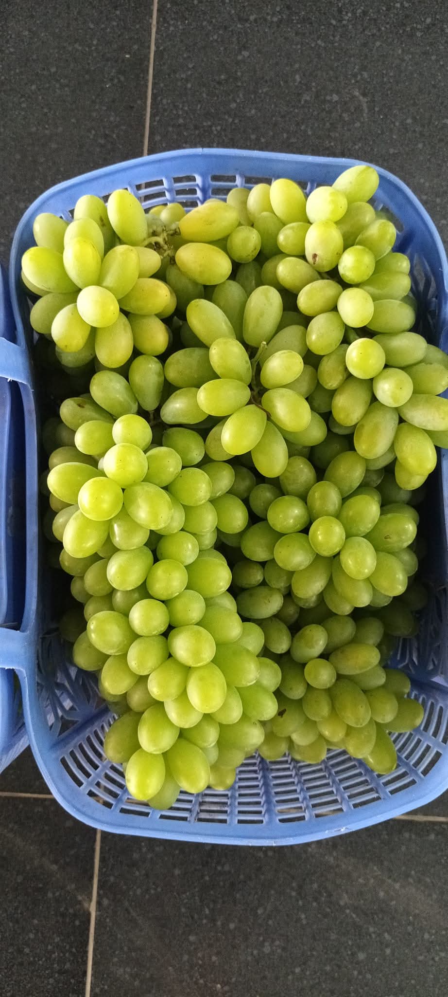 FB IMG 1746953686658