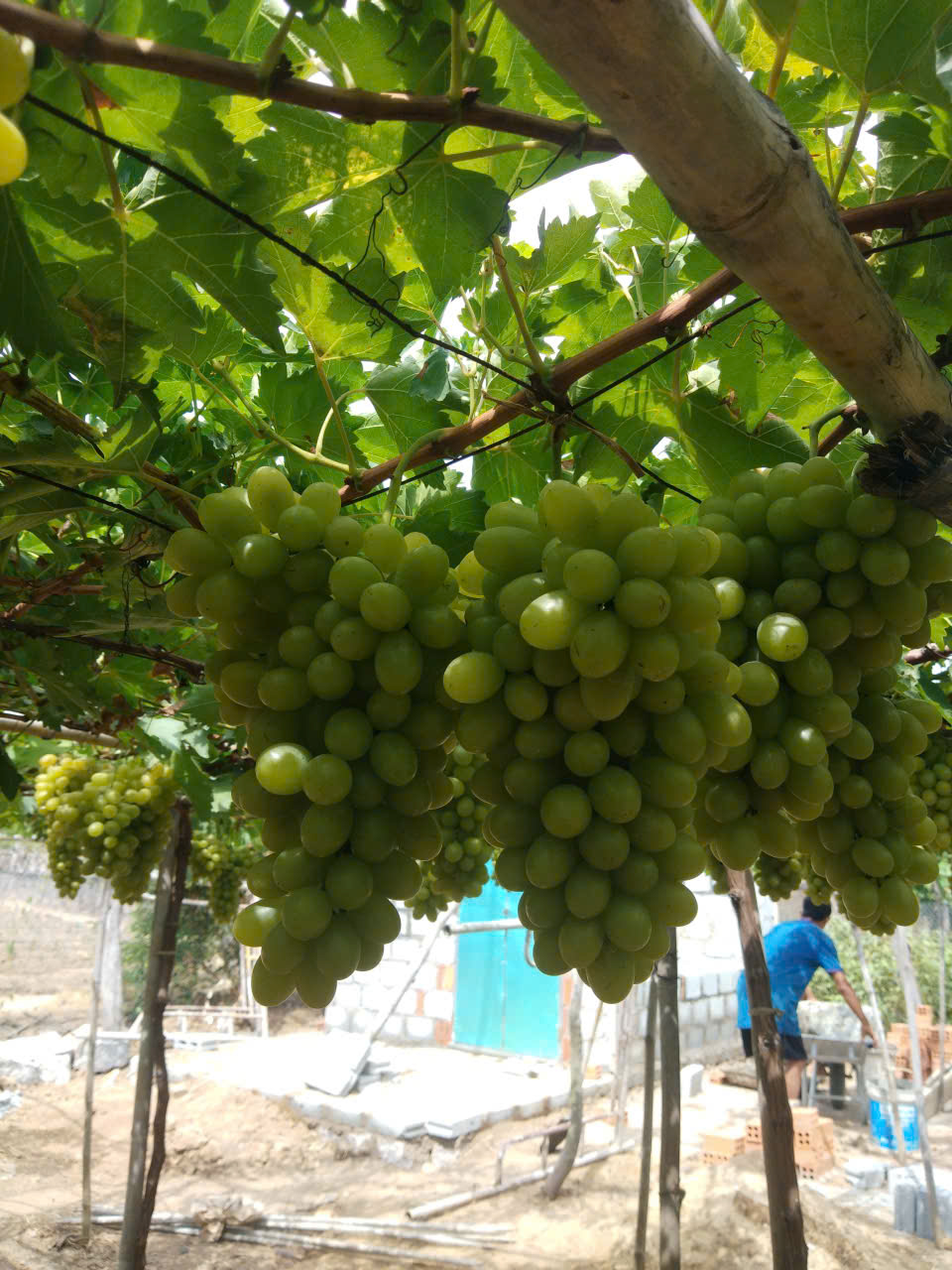 z7636001842539 e67f7055d2781d5f42c3706dcfc87cd6