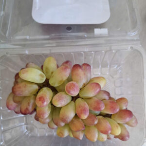 z7641806618013 aaa1426a44676368f8b8425d2d893f95