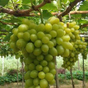 z7641810756113 f6bf2c68bf79a6763449e44238fe2f8b