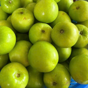 Táo Thái Thuận (Đạt chuẩn OCOP 4 sao) 4 z7641819794675 6a8415aeccbdb993fd14e669c8b42f5a