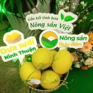 Dưa lưới (Chuẩn OCOP 3 sao)